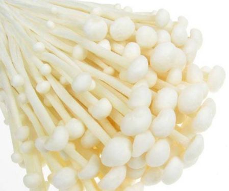Click Here To Enlarge This Photo Of Lily (Enoki) Mushroom 金针菇 200g